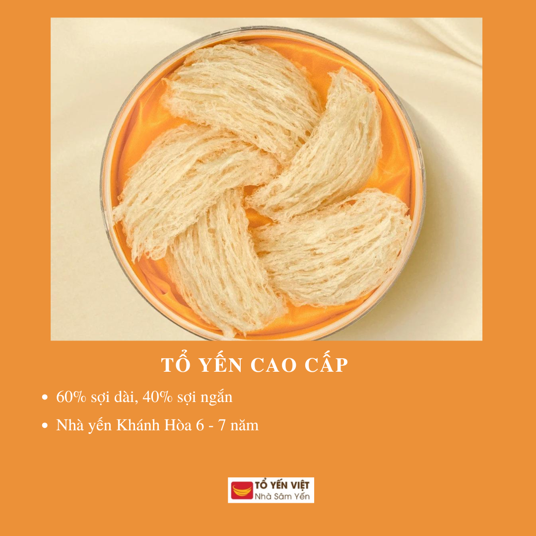 Tổ Yến Cao Cấp 100Gr (Đồng Tháp)