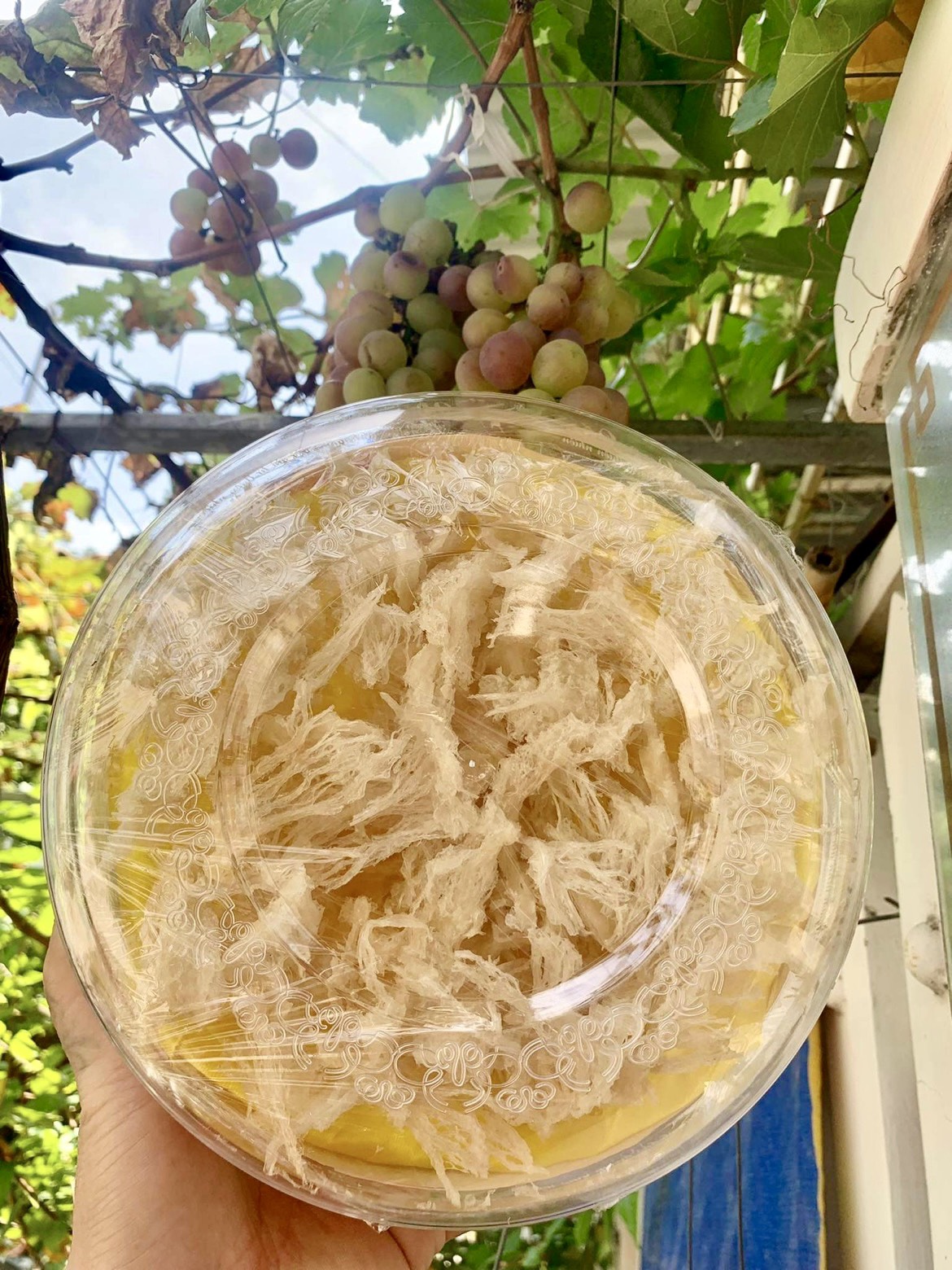 Chân Yến Tinh Chế 100Gr